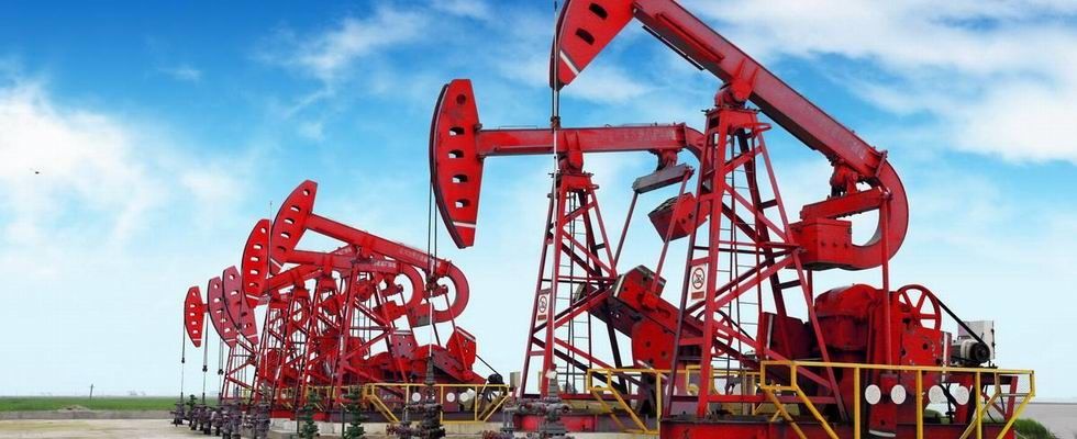 Pezzi di ricambio della pompa di fango