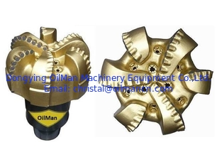 12 1/4 " (311.1 mm) M1663 Corpo in acciaio PDC Perforazione per la trivellazione in roccia dura
