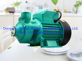 Miglior prezzo 1 pollice 220 Volt Qb60 0.5 Hp 0.75hp 1hp Domestico Giardino Motore elettrico Vortex Pompa d'acqua