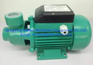 Pompa idraulica sommergibile idraulica periferica 220V 50Hz elettrica