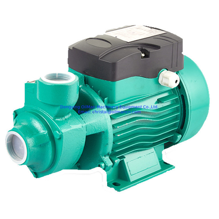 Miglior prezzo 1 pollice 220 Volt Qb60 0.5 Hp 0.75hp 1hp Domestico Giardino Motore elettrico Vortex Pompa d'acqua