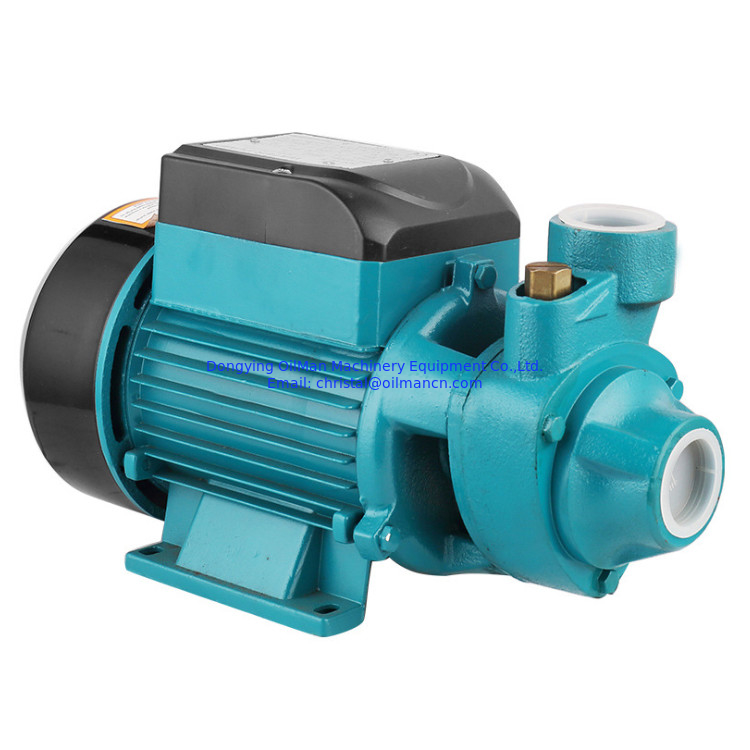 100% filo di rame 0.5hp motore ad alta pressione QB60 pompa elettrica ad acqua vorticale